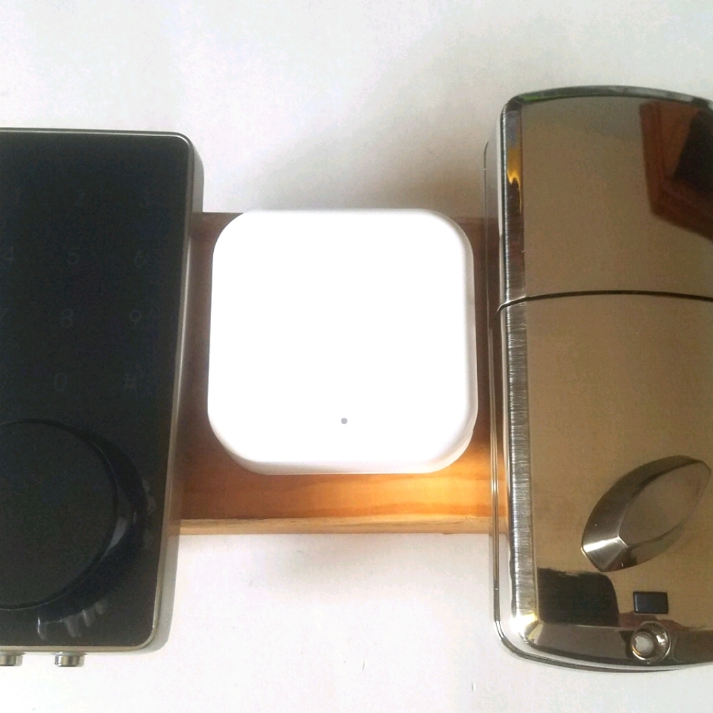 Smartlock Gateway for Front Door